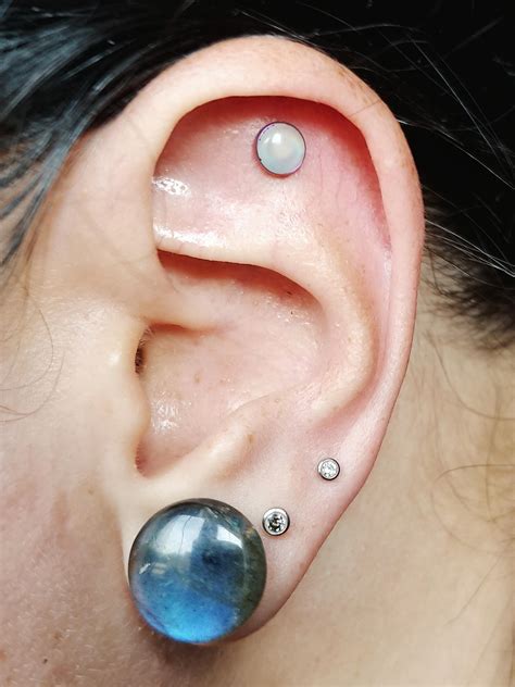 Flat piercing, my newest addition! Done by Greg at PMA Piercing. : piercing