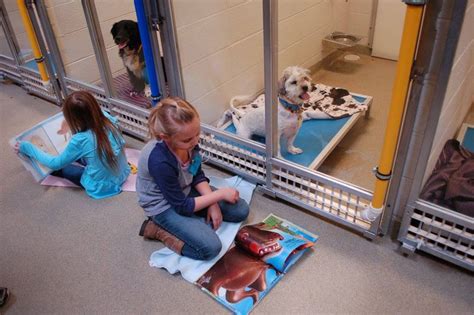 New Program Lets Kids Practice Reading While Shy Shelter Dogs Learn To