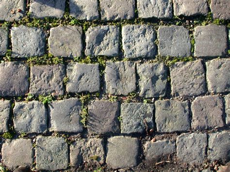 Stone Path Texturas Mundo