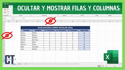 Como OCULTAR Y MOSTRAR FILAS Y COLUMNAS En EXCEL YouTube