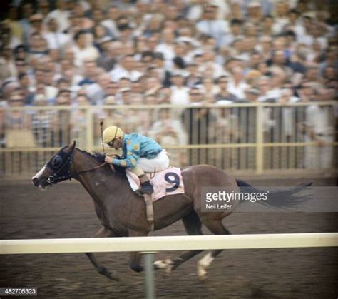 hialeah racetrack photos and premium high res pictures getty images