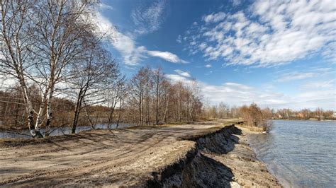 Dry Trees Between River Under Clouds During Daytime 4k Hd Natue