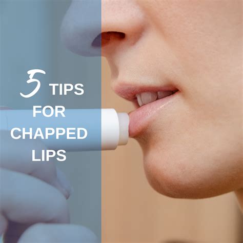 Why My Lips Dry Lipstutorial Org