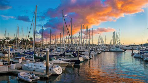 Beaches In Marina Del Rey The Ultimate Insiders Guide The