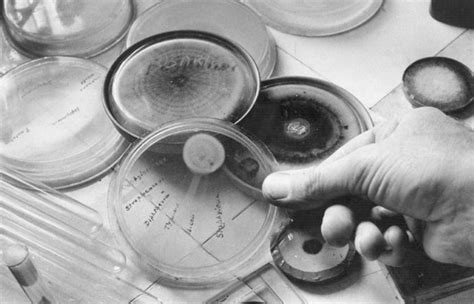 Han pasado años de la primera dosis de penicilina aplicada a un ser