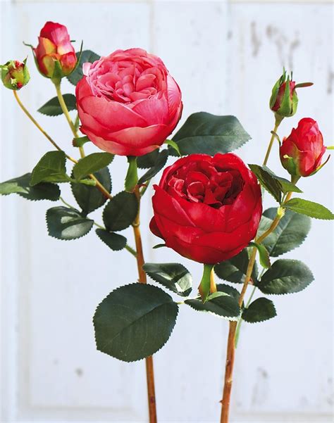 Künstliche Rose 1 Blüten 2 Knospen 60 Cm Real Touch Soft Rot