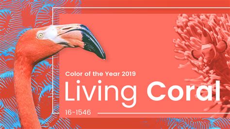 Living Coral Is Pantone Color Of The Year 2019 Graphicmama Blog