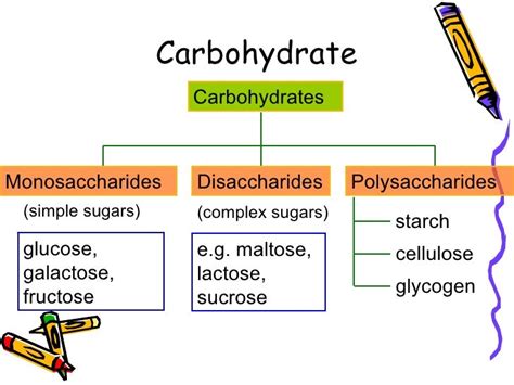 Chapter 4 Nutrients Lesson 1 Carbohydrates