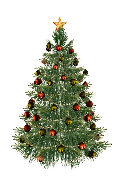 3572 x 2350 size : Christmas tree PNG
