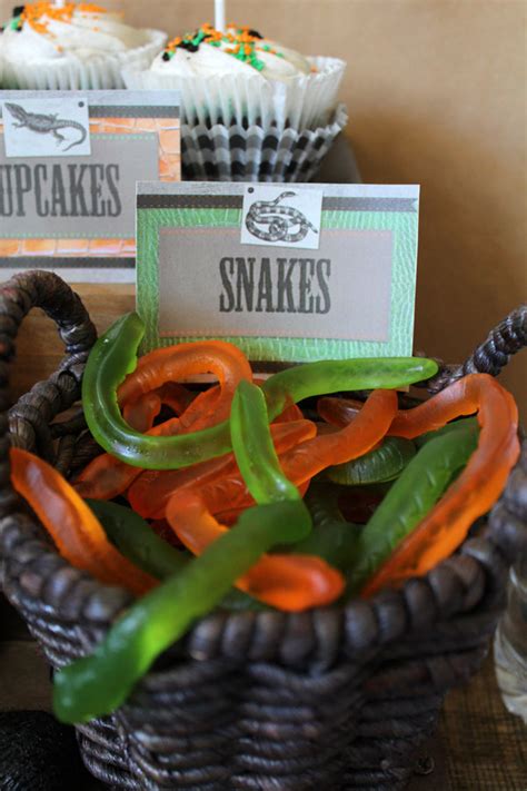 Become a buccaneer and privateer on the high seas as you swing your cutlass or wield your trusty blaster against other pirates and enemies. Zoo Themed First Birthday Party Food Ideas