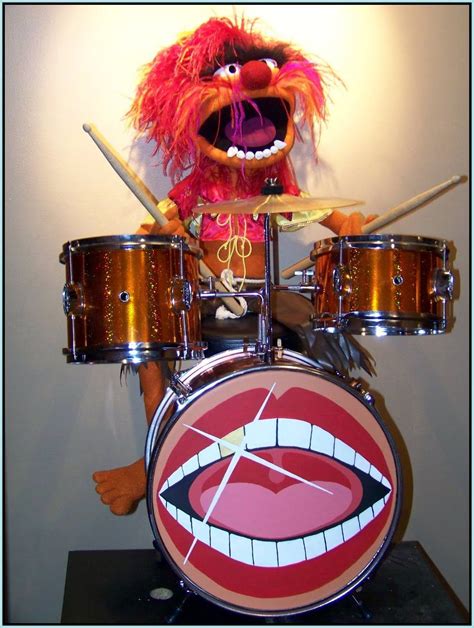 The Muppet Zildjian Drums Drums Muppets Animal Muppet