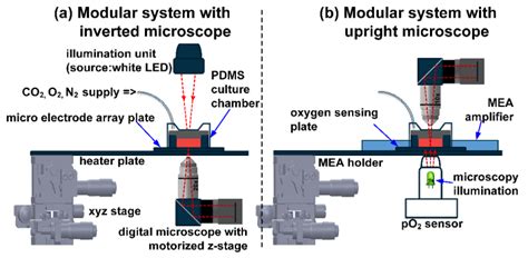 Modular Microscopy Schematic Arrangement For A Inverted Microscopy