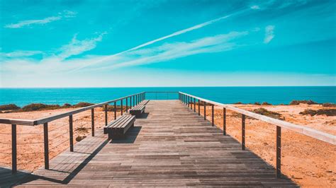 Wallpaper Nature Landscape Pacific Ocean Horizon Bench Plants