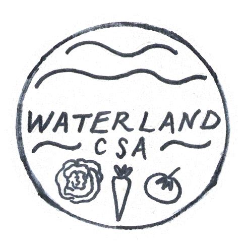 Kohl Rabi Recipe Ideas — Waterland Csa