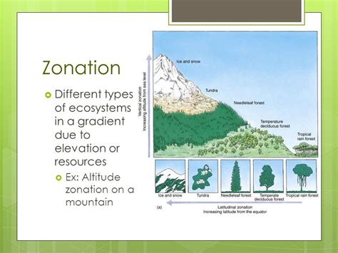 How Do Biomes Change With Elevation Socratic