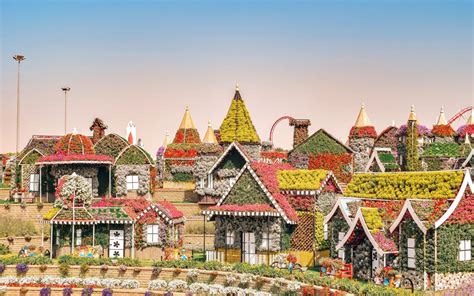 The Dubai Miracle Garden Why You Must Visit Miracle Garden You Must
