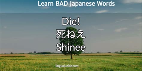 How do you say dead in chinese? Learn Top 15 Bad Japanese Words, Curses & Insults