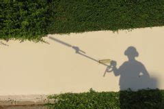 Häufigkeit und zeitpunkt hängen von der buchsbaumsorte, seiner form, sowie seiner qualität ab. Buchenhecke schneiden » Schnittanleitung mit Illustrationen