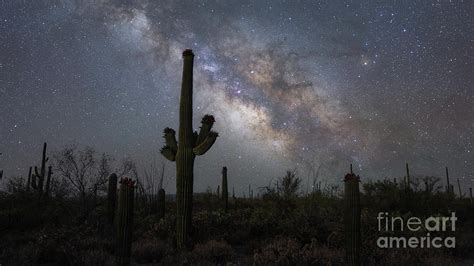 Milky Way Galaxy Rising Over The Arizona Desert Pano Photograph By