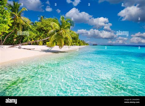 Amazing Island Beach Tropical Landscape Of Summer Scenery White Sand