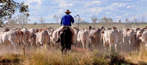 List Of Top Biggest Farms In The World Biggest Farm Ever