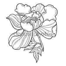 Fiori primaverili tulipani, giacinti, anemoni, primule in fiore e farfalla. Risultati immagini per cornici fiori stilizzati in bianco e nero | motivi ornamentali ...