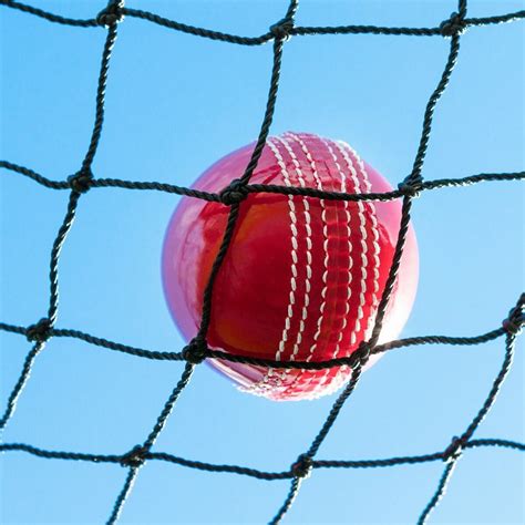 Ultimate Cricket Net Net World Sports