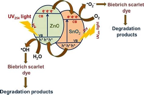 Schematic Representation Of Photocatalytic Degradation Of Bs Using The