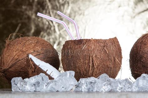 Coconut With Ice Cubes Stock Photo Image Of Hard Pieces 150835226