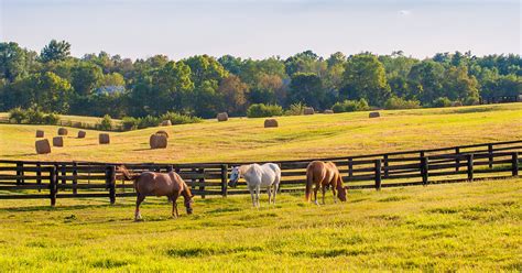 28 Best & Fun Things To Do In Lexington (KY) - Attractions & Activities