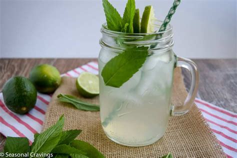 Maybe you would like to learn more about one of these? Mint Limeade Mojito in Seconds · Seasonal Cravings
