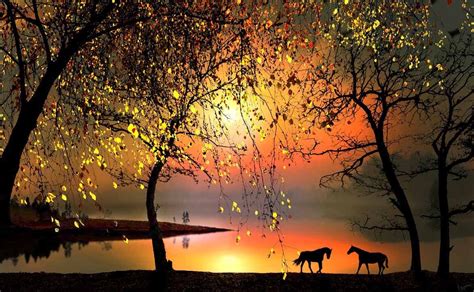 Maybe you would like to learn more about one of these? Horses - Beautiful Nature Photo (21888620) - Fanpop - Page 4