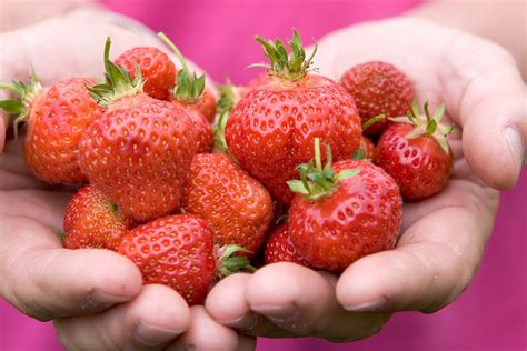 The Best Strawberries To Grow Bbc Gardeners World Magazine