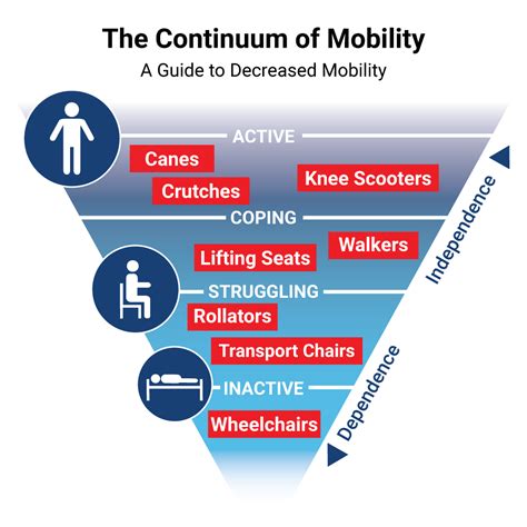 Continuum Of Mobility A Guide To Decreased Mobility Carex