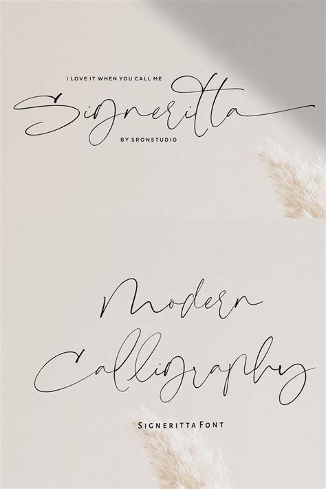 Signeritta Elegant Signature Font Free Script Fonts