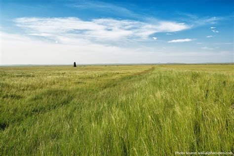 Interesting Facts About The Great Plains Just Fun Facts