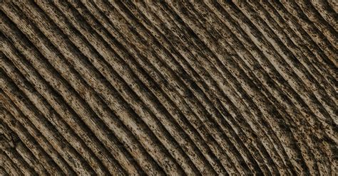 A Close Up View Of A Wood Texture Photo Grain Texture Image On Unsplash