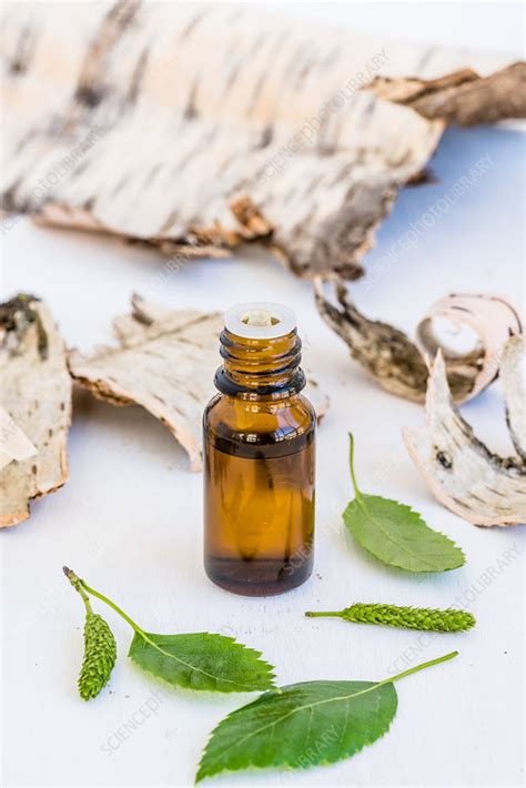 Birch Essential Oil Stock Image C0401299 Science Photo Library
