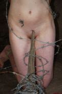Barbed Wire Bondage Of Uk Amateur Bdsm Slavegirl Kat Outdoors Porn