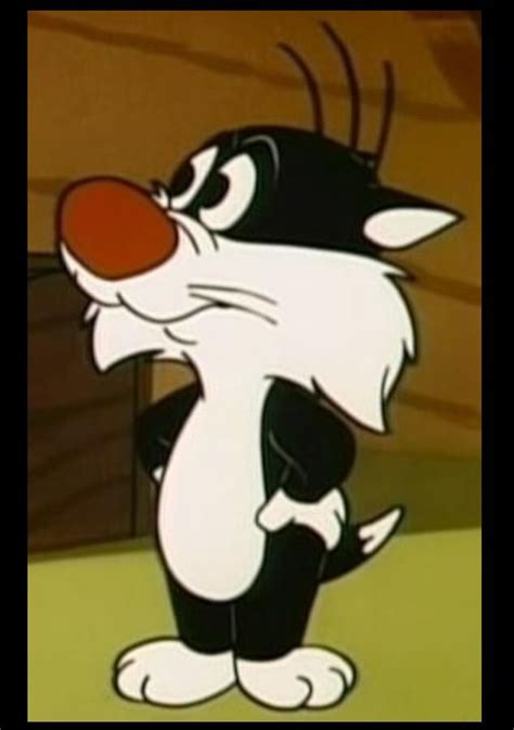 Sylvester Jr Classic Cartoon Characters Favorite Cartoon Character
