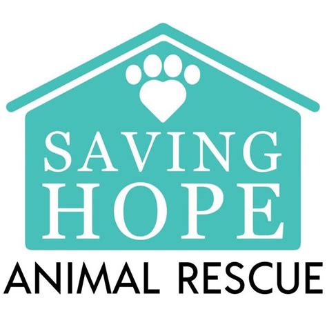 Saving Hope Animal Rescue Fund Volunteer Opportunities Volunteermatch