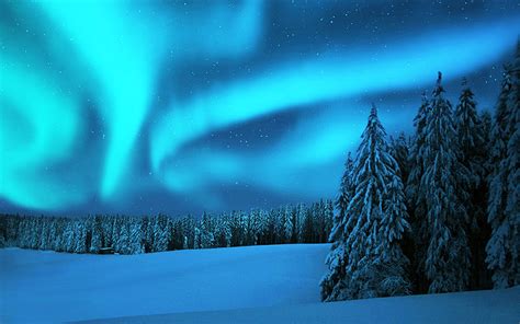 Northern Lights Trip By Horse Drawn Sleigh Magic Of Lapland