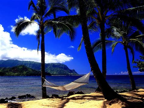 Tapeta Na Pulpit Hawaje Przyroda Kraje Tropikalne Pobierz Za Darmo
