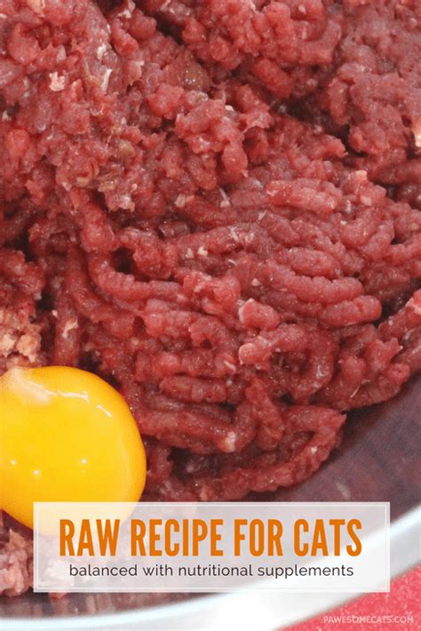 It also includes instructions on mixing your own raw cat food supplements and where to buy the supplements you need to get started. raw cat food recipe with nutritional supplements #cat food ...