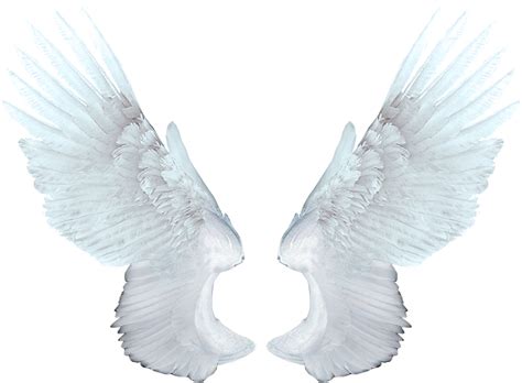 White Angel Wings PNG