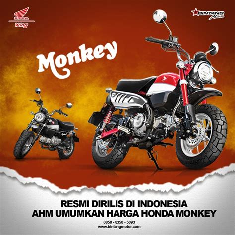 Resmi Dirilis Di Indonesia Ahm Umumkan Harga Honda Monkey Honda Bintang Motor