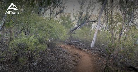Best Trails Near Tamworth New South Wales Australia Alltrails
