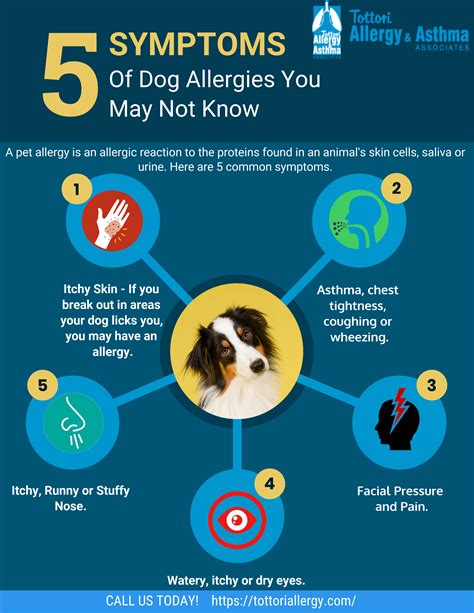 5 Symptoms Of Dog Allergies You May Not Know Tottori Allergy And Asthma