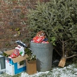 Check spelling or type a new query. Pinellas County Christmas Tree Recycling Programs ...