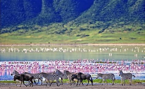 10 Interesting Facts About The Masai Mara Of Africa Worldatlas